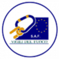 Logo SAF