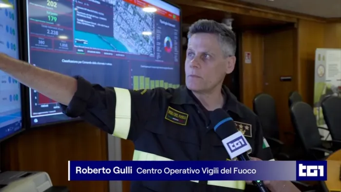 INCENDI BOSCHIVI IN ITALIA